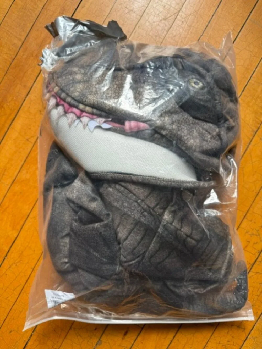 Dinosaur Costume